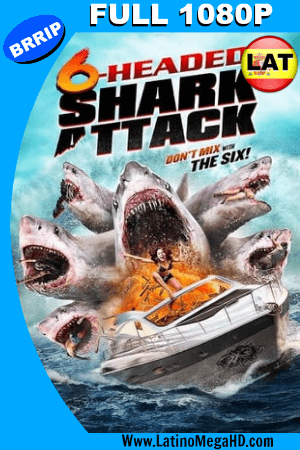 El Ataque del Tiburón de Seis Cabezas (2018) Latino FULL HD 1080P ()
